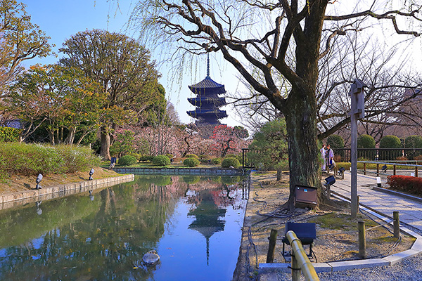 �����@�~�@���t���N�V����