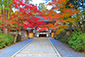 金剛峯寺の紅葉　高画質画像