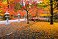 高野山　奥の院　紅葉　高画質　画像