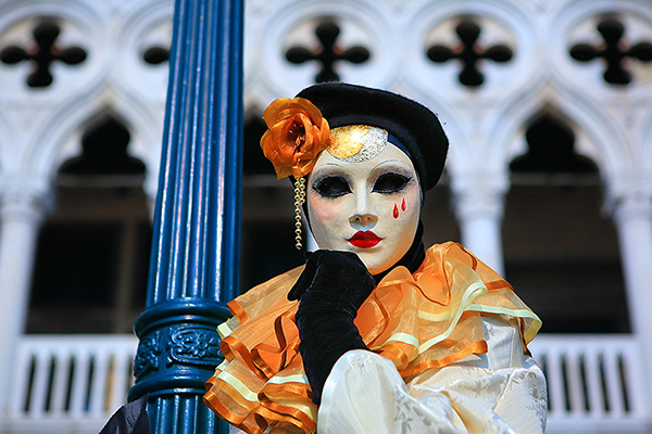 ���F�l�c�B�A�@���ʁ@�J�[�j�o��